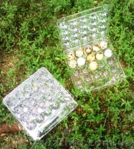 Упаковка для перепелинных яиц #84387