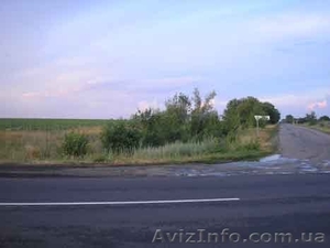 Продам земельный пай Григоровское #81952