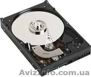 WD 800JD 80Гигабайт #90331