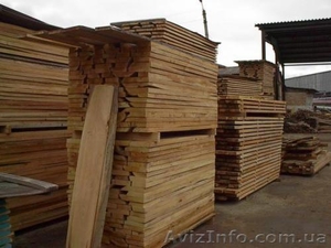 Лес в Днепропетровске #89325