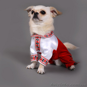 одежда для собак #100186