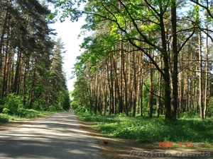 Коцюбинське ,  Пономарьова #96600