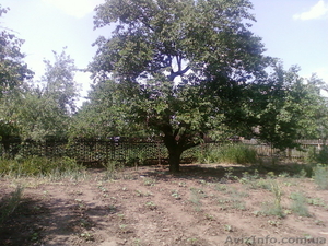 газофицированный дом, дачный участок, авто-срочно!!!! #91068