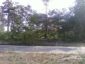 продам участок возле соснового леса #93107