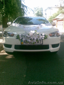 Обслужевание свадеб #92308