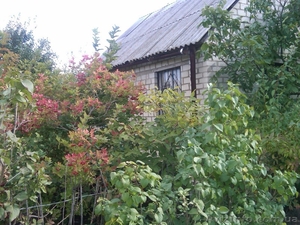 Дача,  с. Ивановка,  6 соток,  дом. #88816