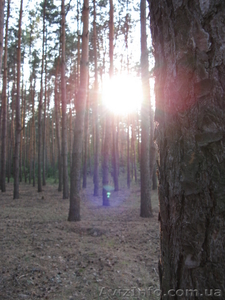 Киев.участок, под котеджную застройку. #101316