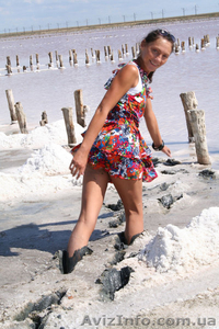 Лечебно косметические грязи залива cиваш #97205