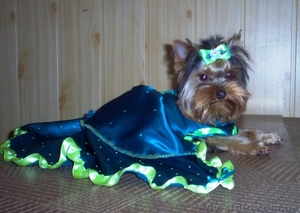 Первый во Львове Груминг-Салон для животных #100028