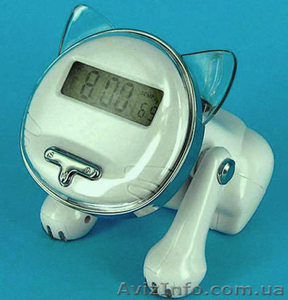 необычные подарки в Днепропетровске #92660