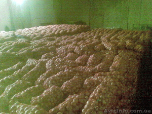 Частное Предприятие Агроинвест #100836