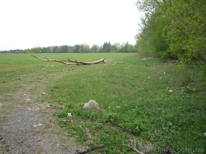 участок под коммерческую застройку #94161