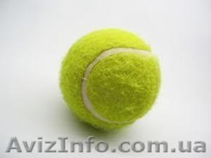 Тренер по теннису для взрослых (спарринг-партнер) #100334