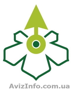 Школа курсы обучение астрологии в Киеве #90953