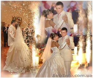 Изюминки для торжеств    Сумы,  Сумская область #114528