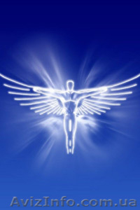 Видеосъемка торжественных мероприятий   #118765