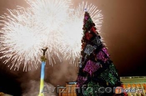 Новорічні корпоративні і приватні вечірки (зустріч Нового року),  організація. #111788