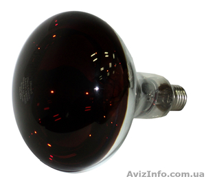 Обогрев животных #110920