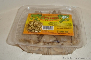 Грибы Вешенки свежие;  маринованые;  блоки #104617