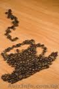 Бесплатная аренда кофемашин #110275