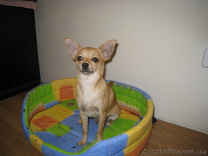 (Люда)sevkovit@mail.ru(0685911613 ) #107765