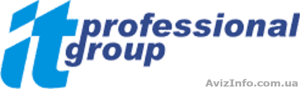 «IT Professional Group» предлагает сотрудничество по поиску,  подбору и оценке IT #116314