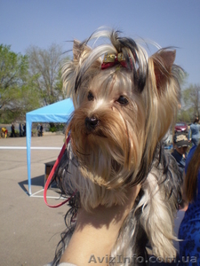 Радченко Ольга Николаевна  #103550