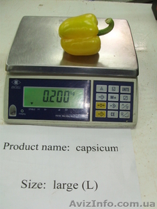Сладкий перец экспорт из Египта #110186