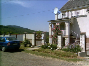 Отдых в ч/у Закарпатье #116932