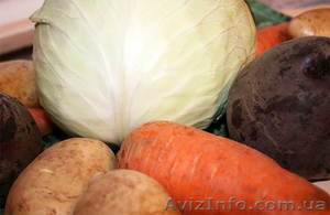 Овочі гуртом та роздріб #115861