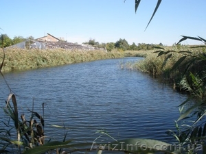 Продам фермерское хозяйство.  #108315