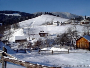 Новый год в Карпатах #117207