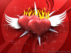 Видео-фотосъемка цифровая #108354