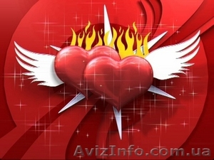 Видеосъемка торжеств #108363