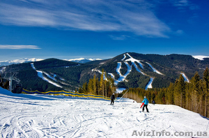 Новий рік в Карпатах #120747