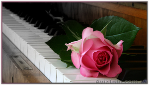 Реставрация,  ремонт,  настройка фортепиано,  пианино,  рояля Харьков #121669