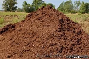 Предлягаю навоз конский, свинной. Помёт куриный. В городе Киев #122243