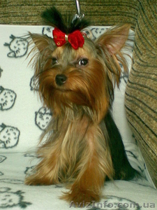 новогодние подари #132767