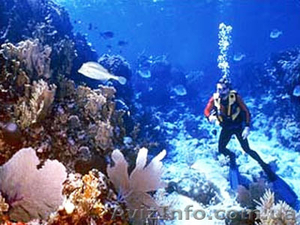 Компания «УкрТурКом» #122768