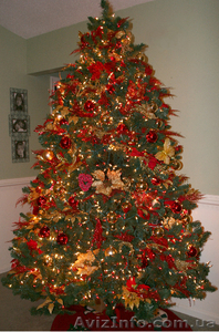 Продам ель,  сону. опт,  розница. Доставка. #124013