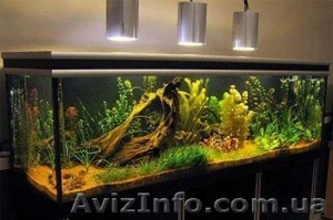 Аквариумы и аквариумное оборудование #127371
