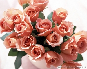 Организация торжеств #130885