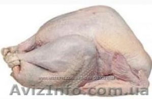 Продам домашнюю индюшатину. #120964