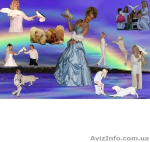 новогодняя программа с дрессированными животными #131888