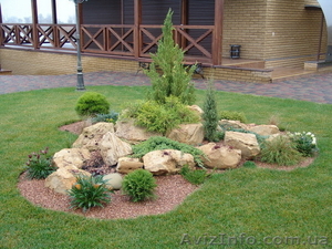 Садовый центр Оазис Черкассы #126132