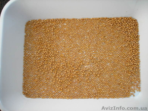 продам горчицу экспортного качества #133203