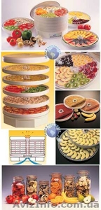 Ezidri Snackmaker Сушилка #127137