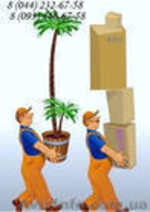 Грузчики Запорожье недорого #17931