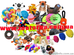 www.zootorba.com.ua #126200