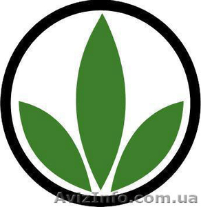 Дистрибьютор Гербалайф в Харькове. #124028